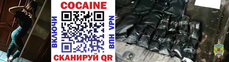 наркота  Зеленогорск  Cocaine Fish Scale 