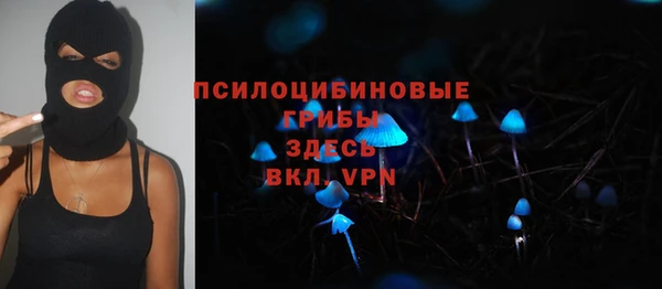 ALPHA PVP Заводоуковск
